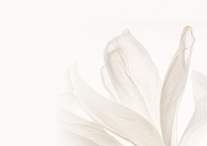 Conjunto de frascos de perfume