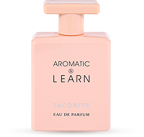 Conjunto de frascos de perfume