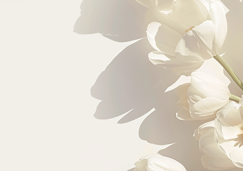 Tampa do bocal de spray de perfume